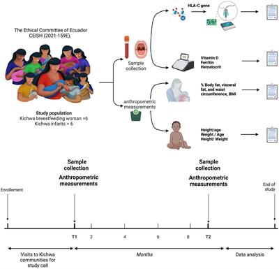 Exploring HLA-C methylation patterns and nutritional status in Kichwa mothers and infants from Tena, Ecuador